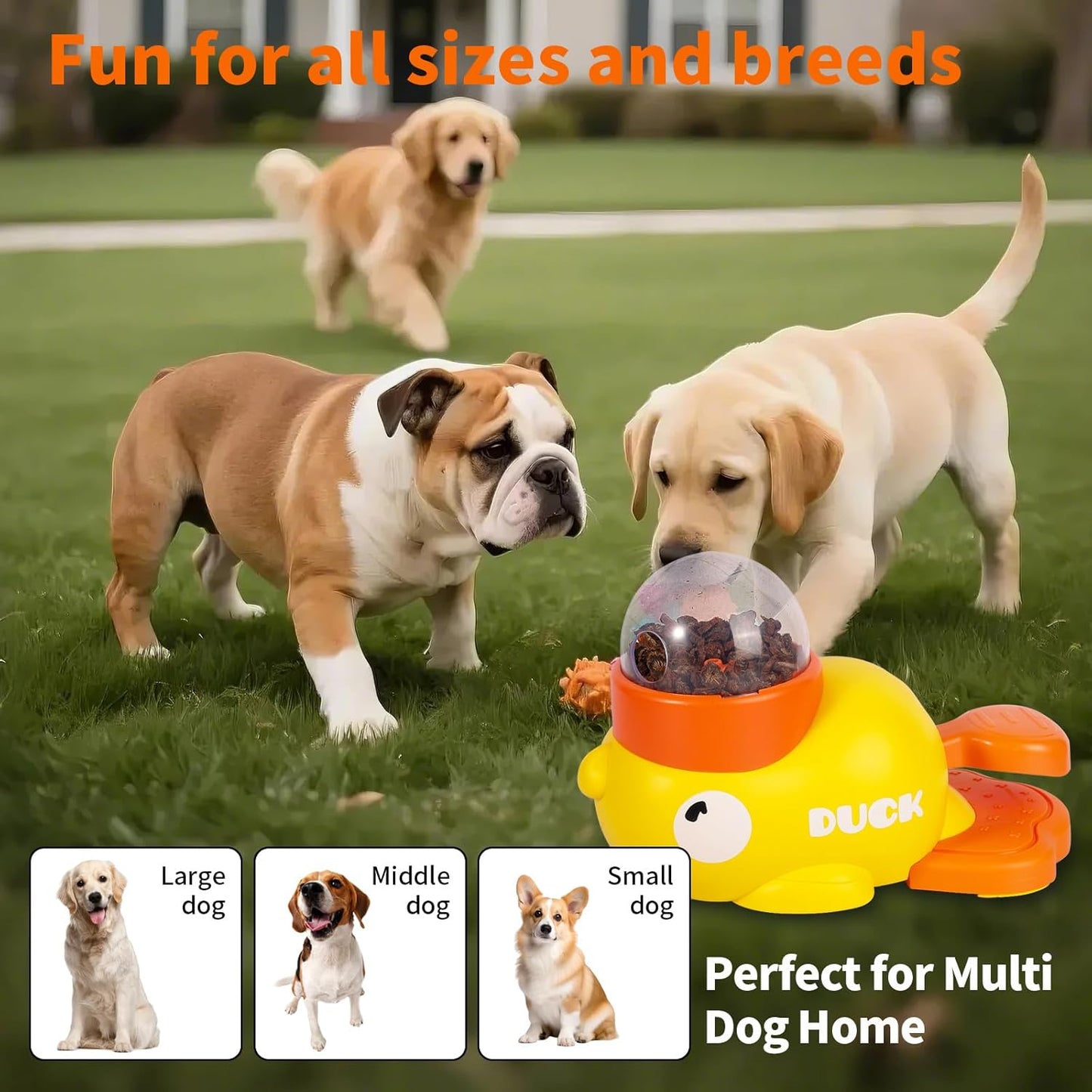 QuackSnack – Duck-Shaped IQ Feeder Toy